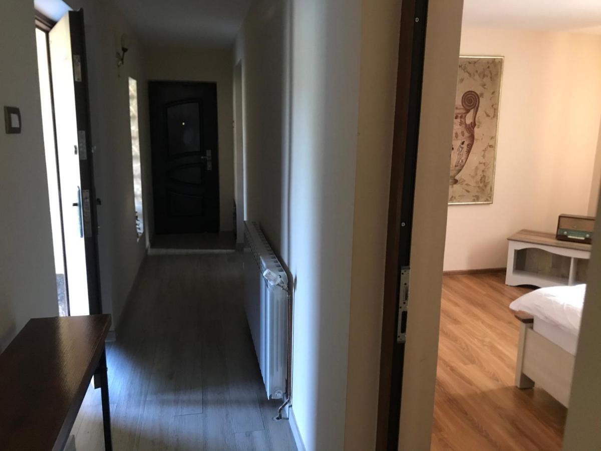 Apartament La Vila Curtea De Arges Luaran gambar