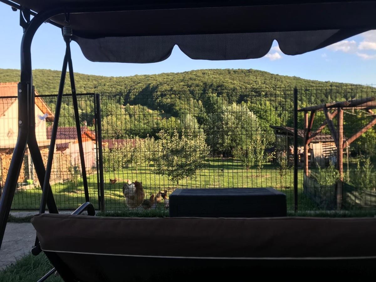 Apartament La Vila Curtea De Arges Luaran gambar